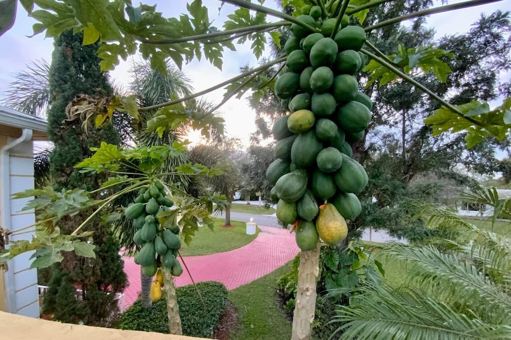 Photo of Others in Coral Springs