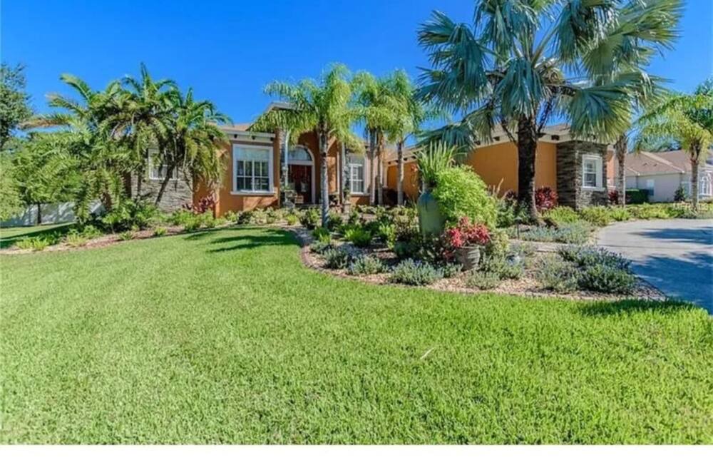 Photo of Others in New Port Richey