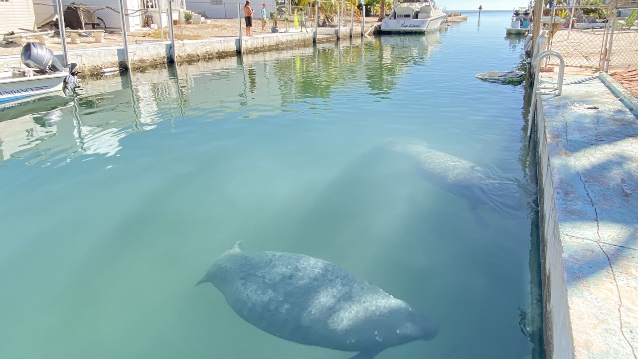 Photo of Outdoor in Geiger Key