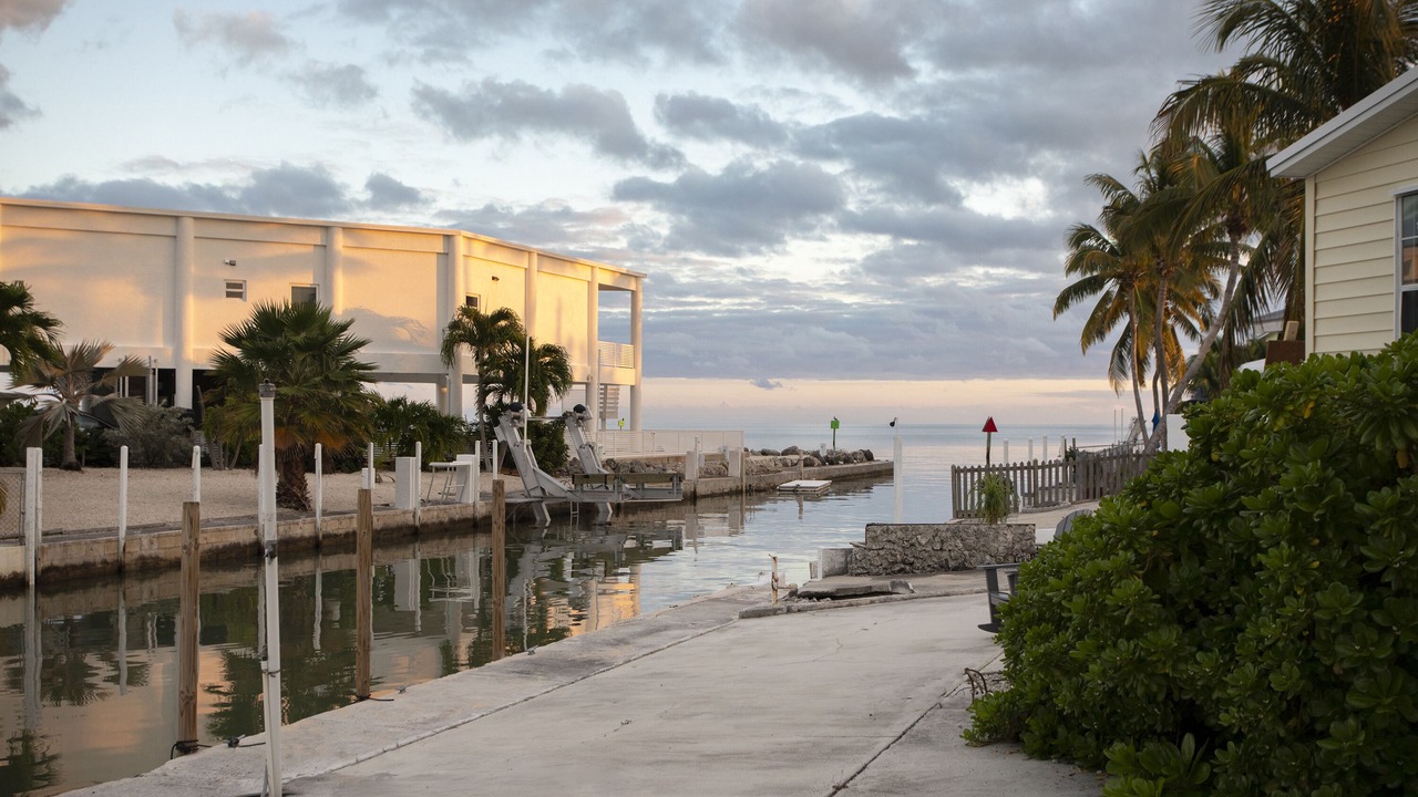 Photo of Others in Geiger Key