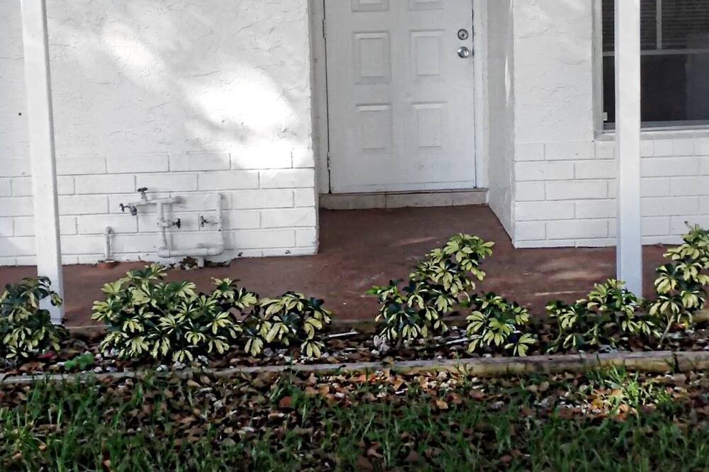 Photo of Outdoor in Coral Springs