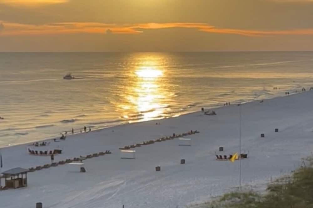 Photo of Others in Biltmore Beach
