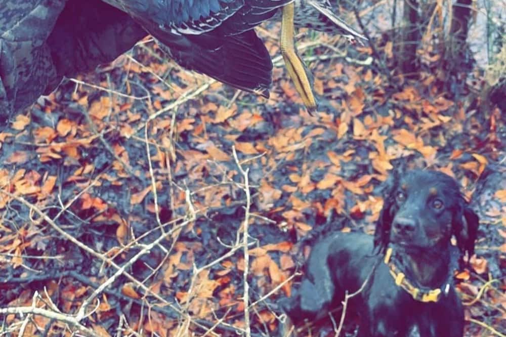 Photo of Outdoor in Donalsonville