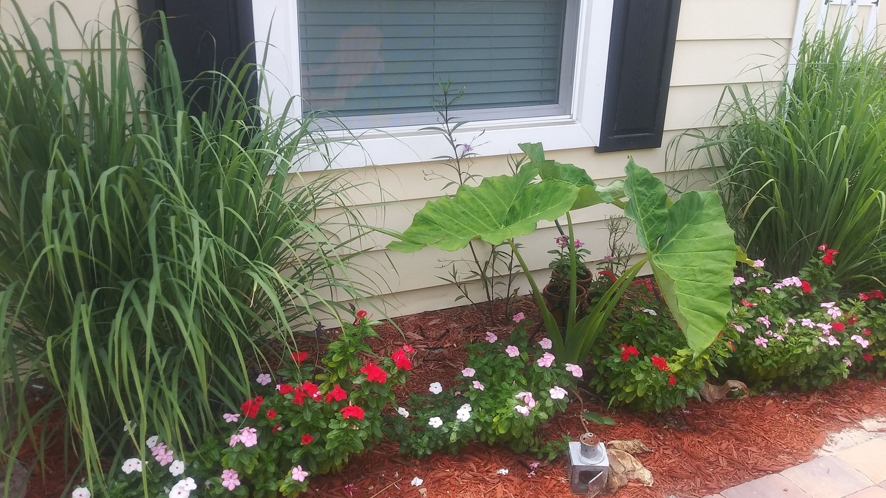 Photo of Outdoor in Disston Heights
