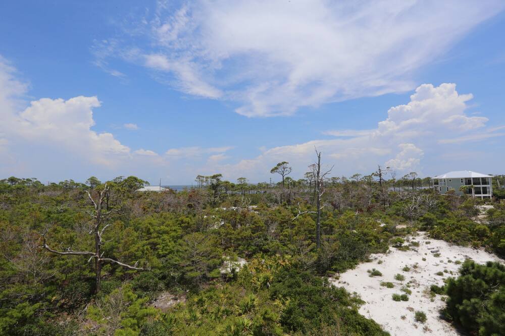 Photo of Others in Cape San Blas