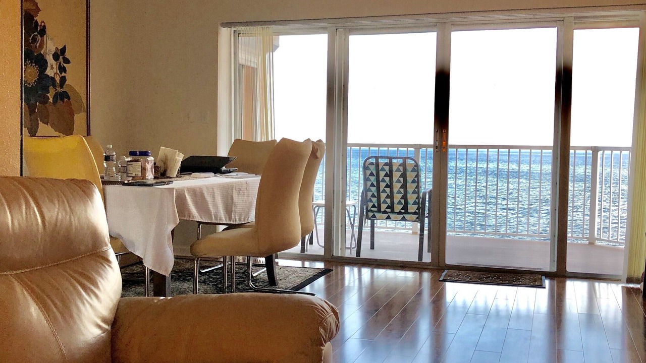 Photo of Livingroom in Pinellas Point