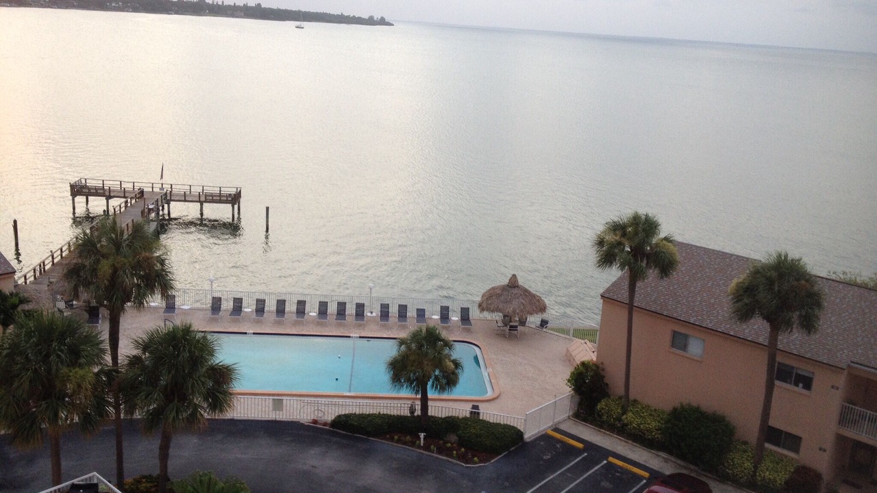 Photo of Outdoor in Pinellas Point