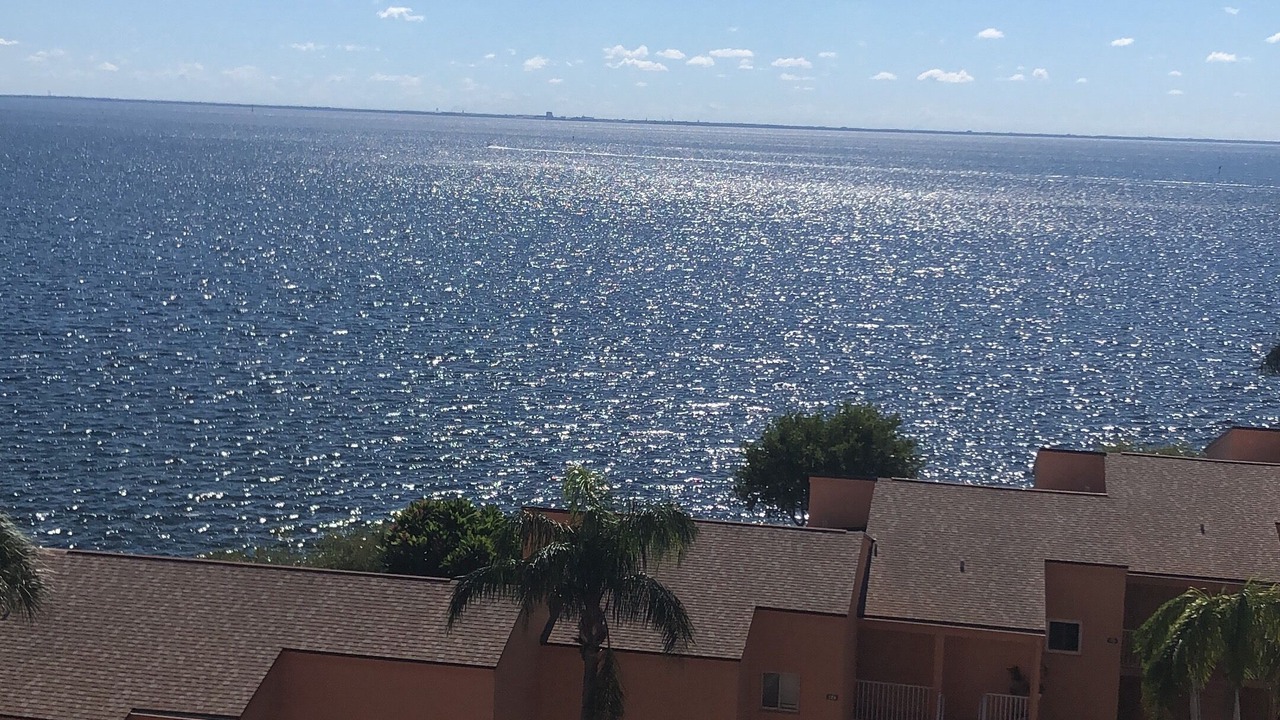 Photo of Others in Pinellas Point