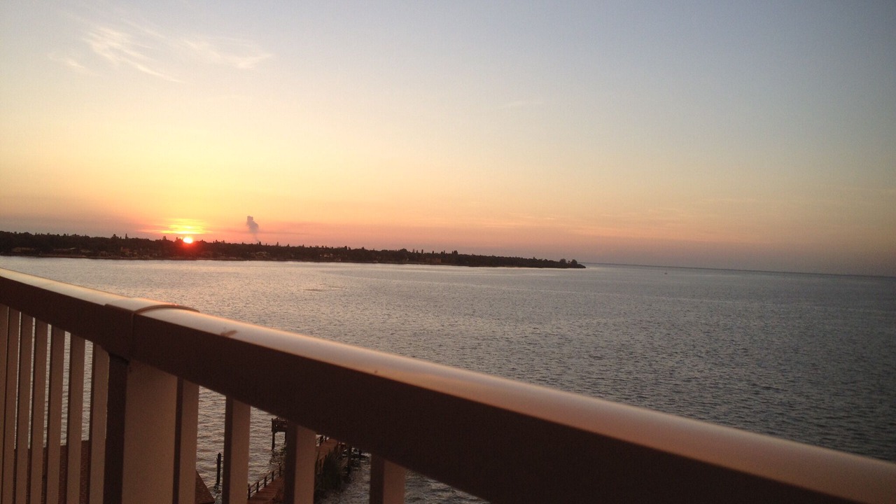 Photo of Outdoor in Pinellas Point