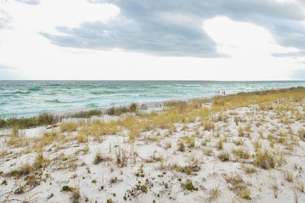 Photo of Others in Navarre Beach