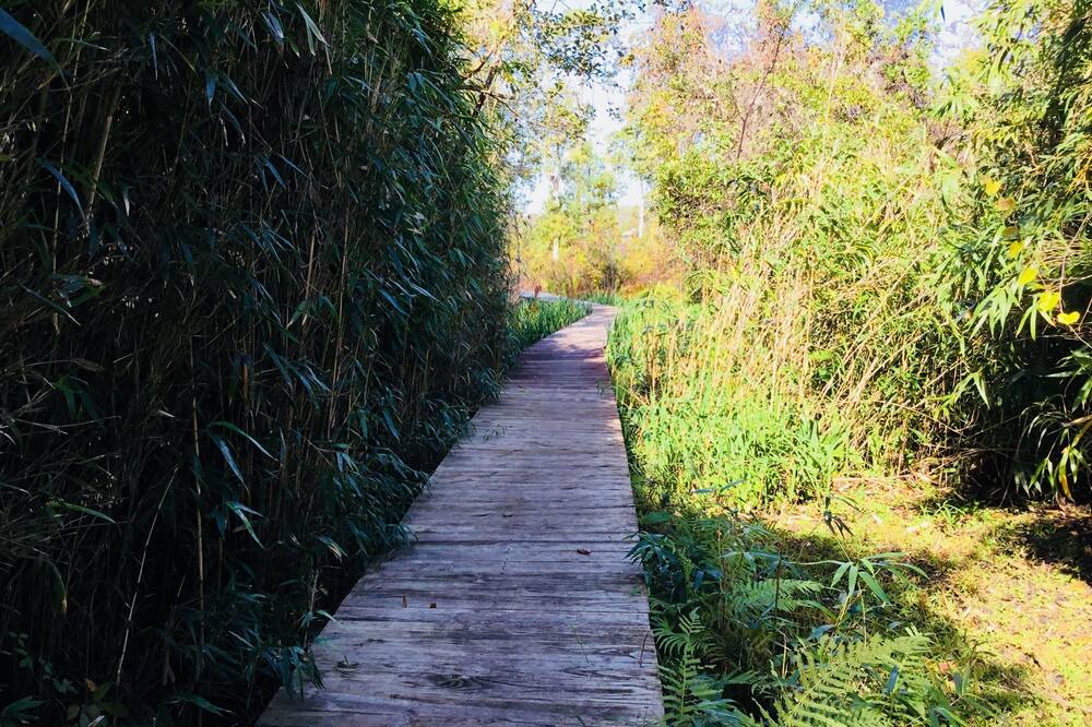 Photo of Outdoor in Hawthorne