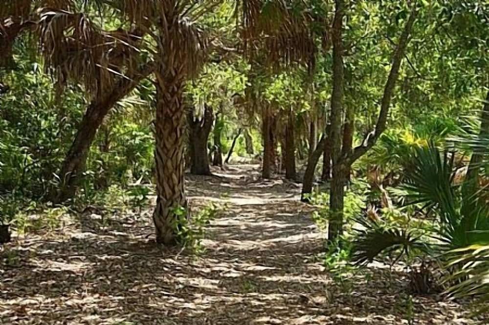 Photo of Others in Bonita Bay