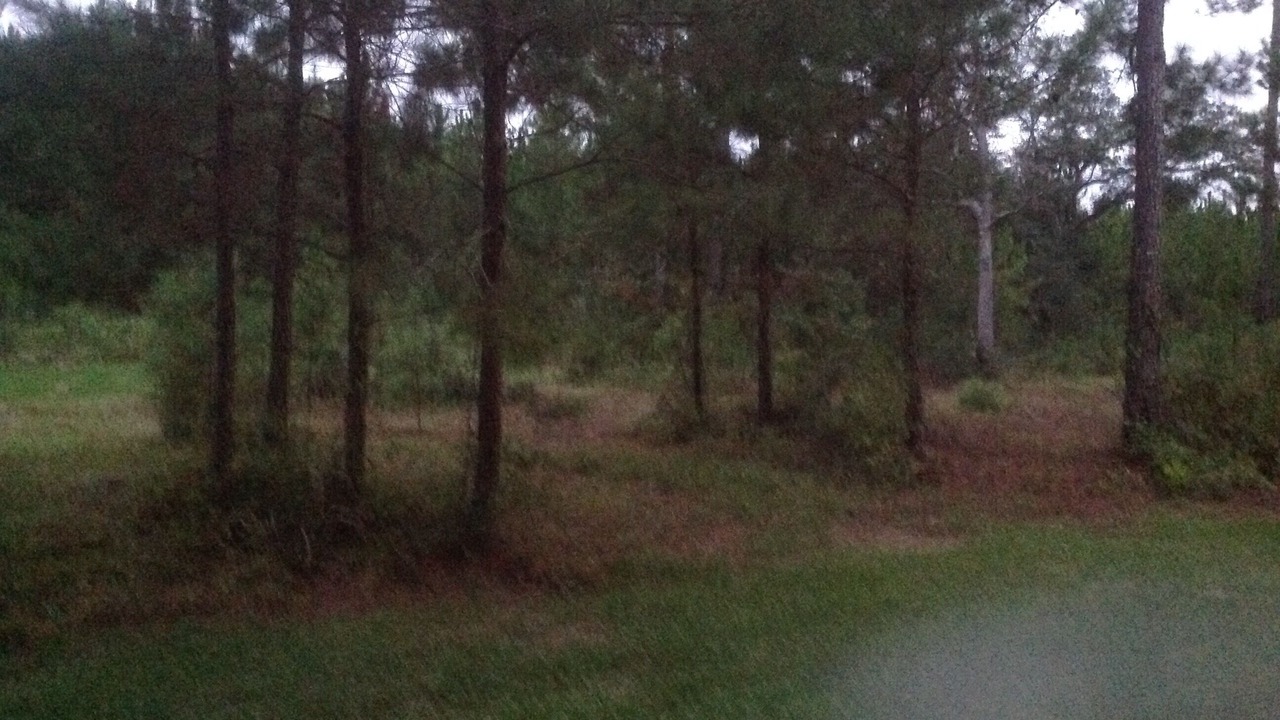 Photo of Outdoor in Adel