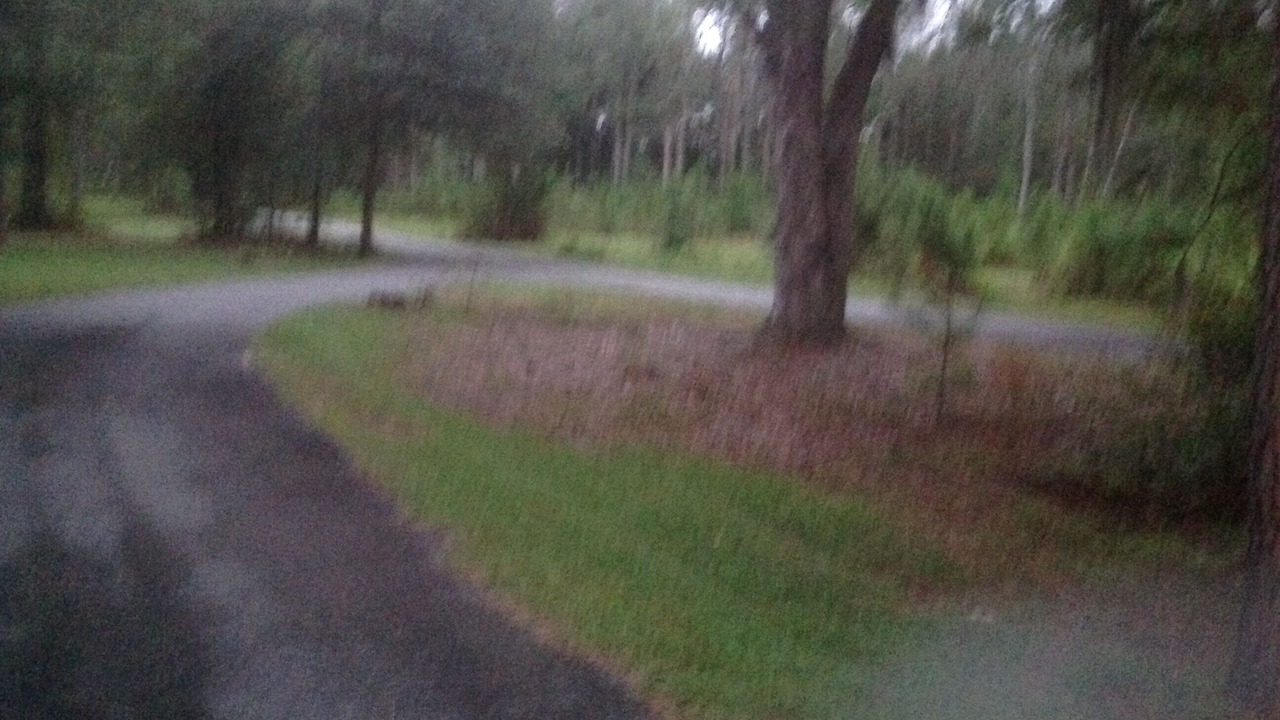 Photo of Outdoor in Adel