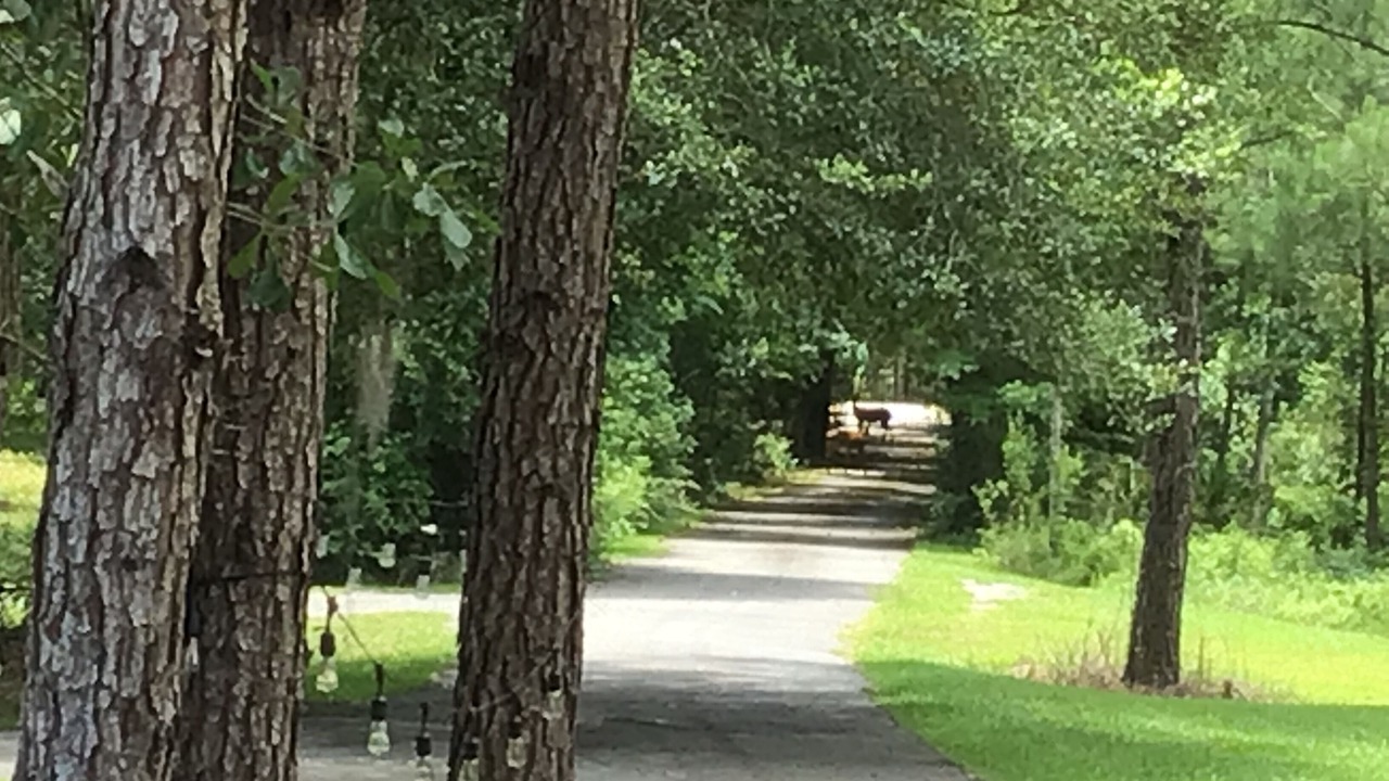Photo of Outdoor in Adel