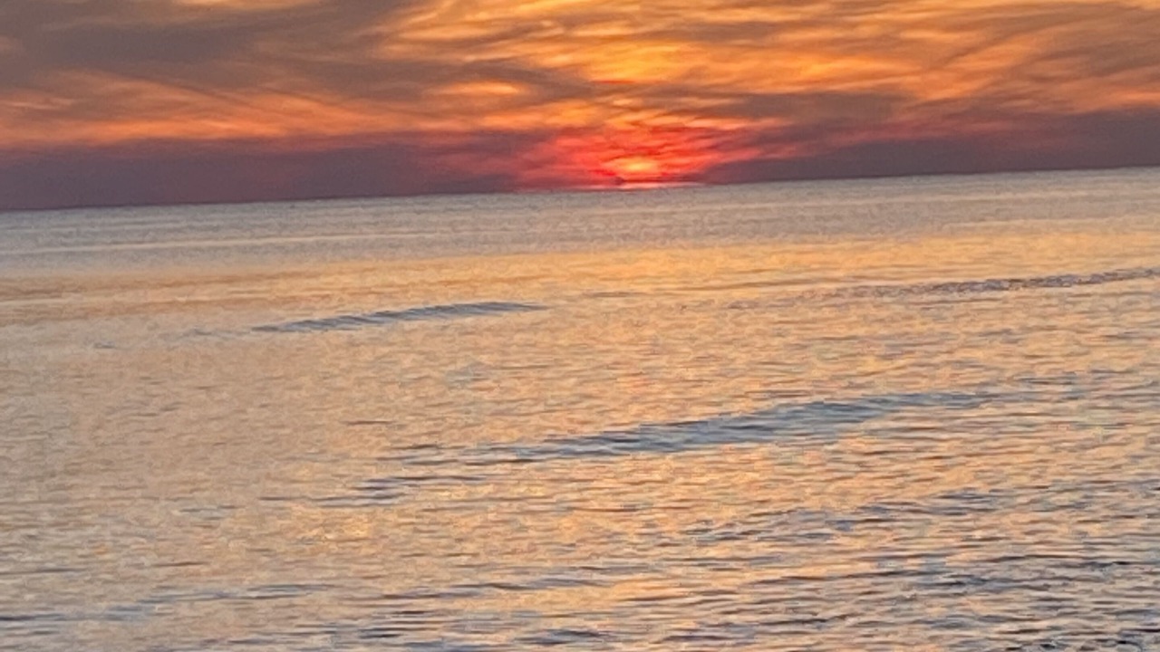 Photo of Others in Santa Rosa Beach