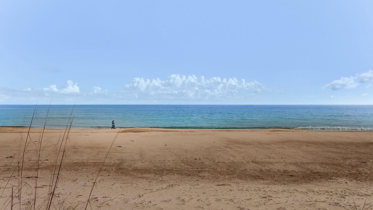 Photo of Others in Fernandina Beach