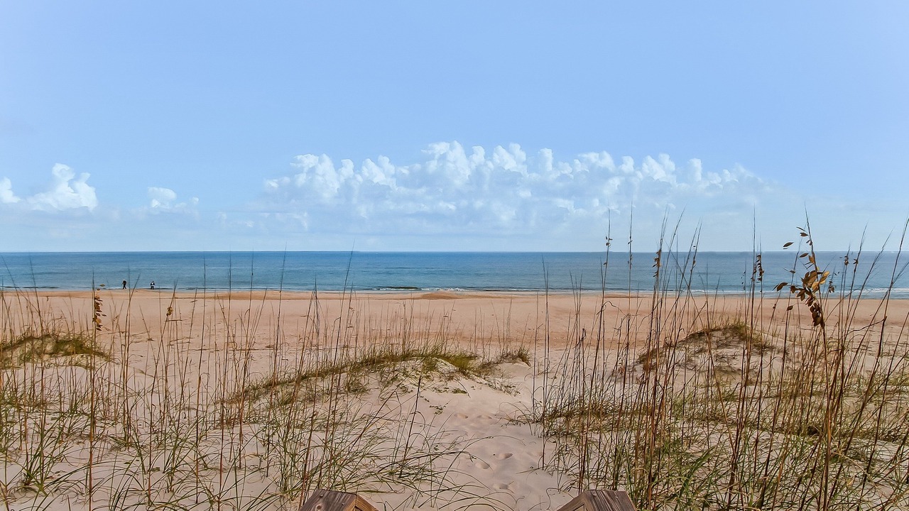 Photo of Others in Fernandina Beach