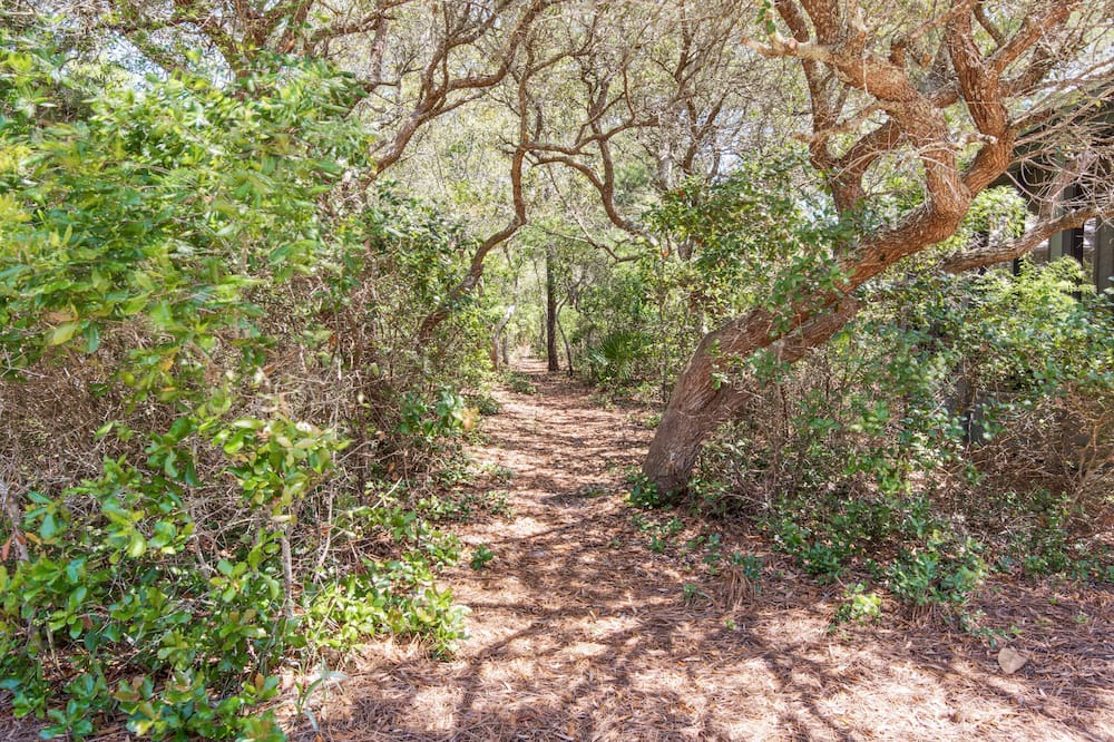 Photo of Outdoor in Seacrest