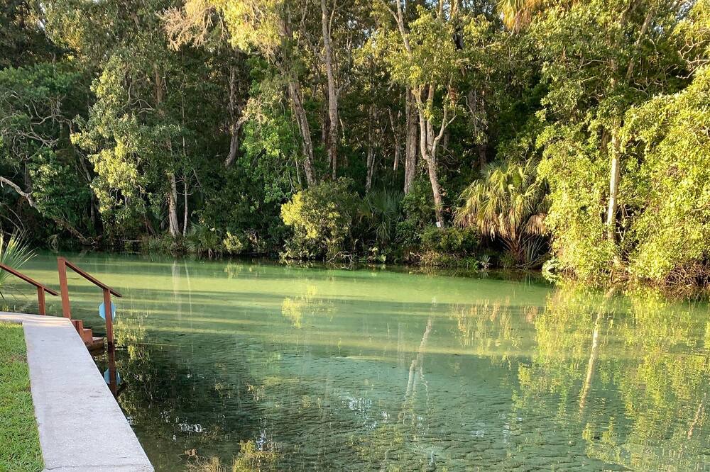 Photo of Others in Weeki Wachee Gardens