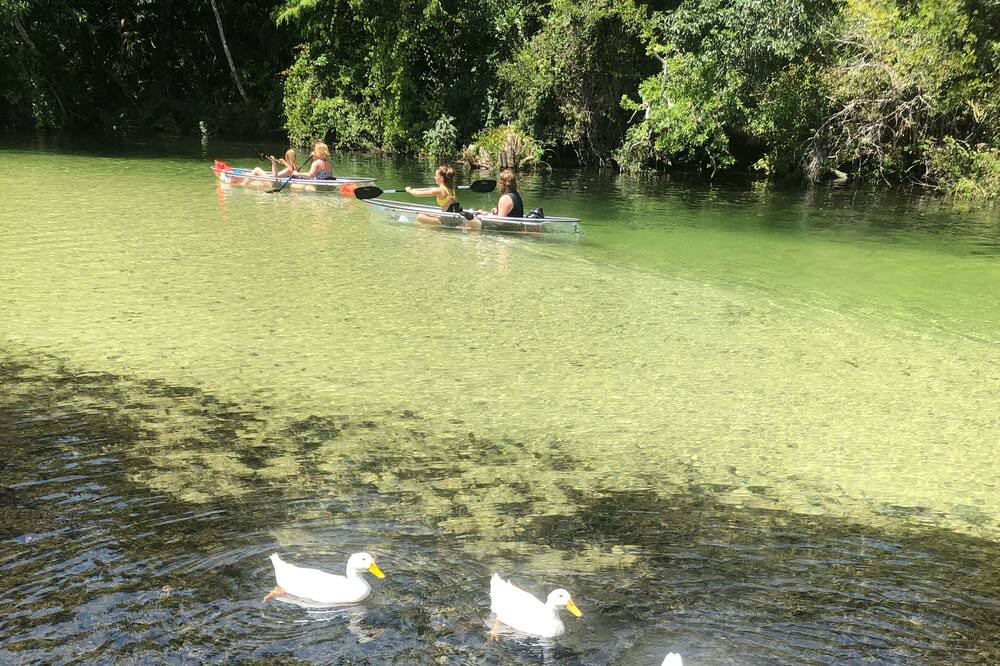 Photo of Outdoor in Weeki Wachee Gardens