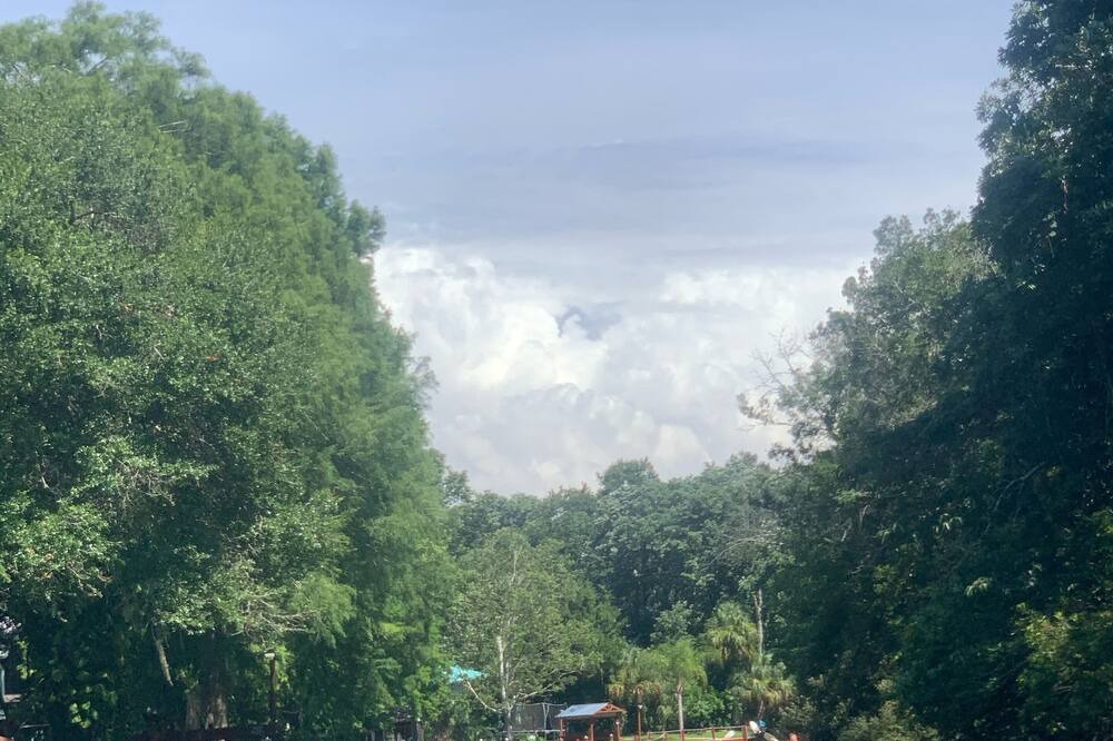 Photo of Others in Weeki Wachee Gardens