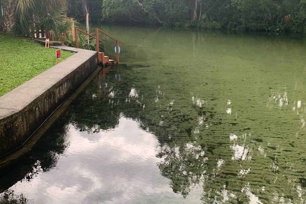 Photo of Others in Weeki Wachee Gardens