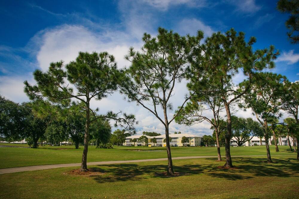 Photo of Others in Plantation