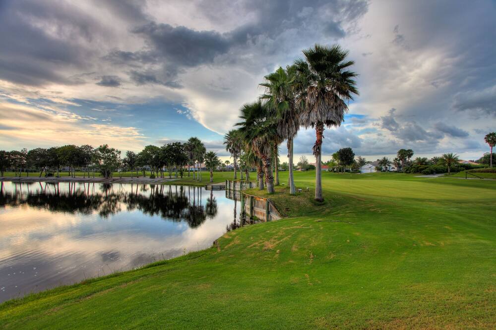 Photo of Others in Sarasota