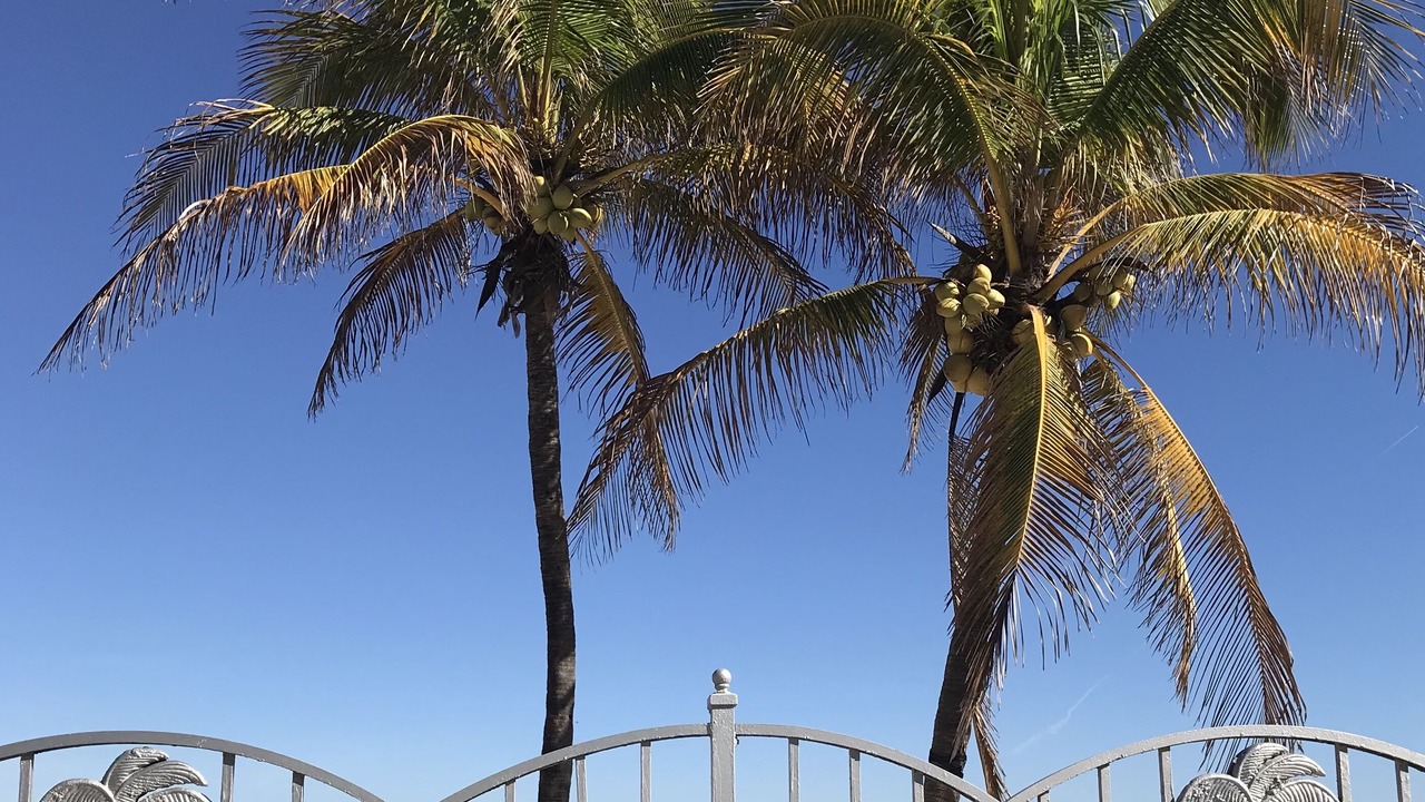 Photo of Others in Pompano Beach