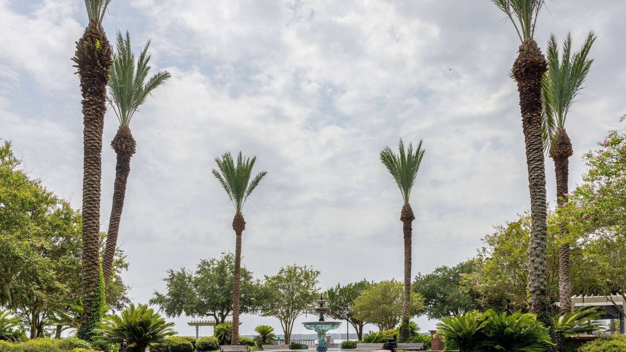Photo of Outdoor in Kingsland