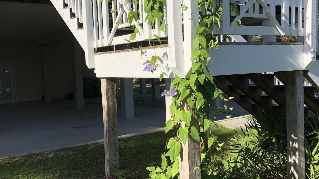 Photo of Outdoor in Panacea