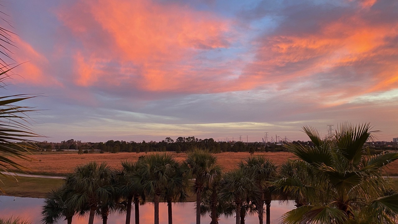 Photo of Others in Florida Central Atlantic Coast