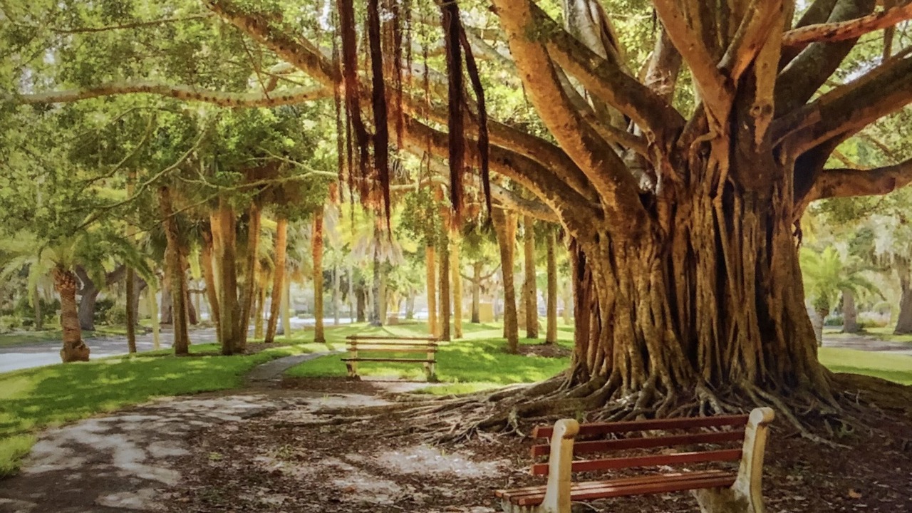 Photo of Outdoor in Venice
