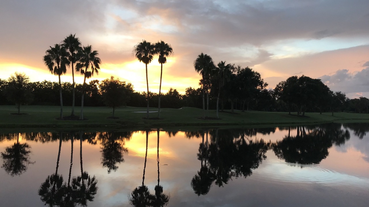 Photo of Outdoor in Sarasota