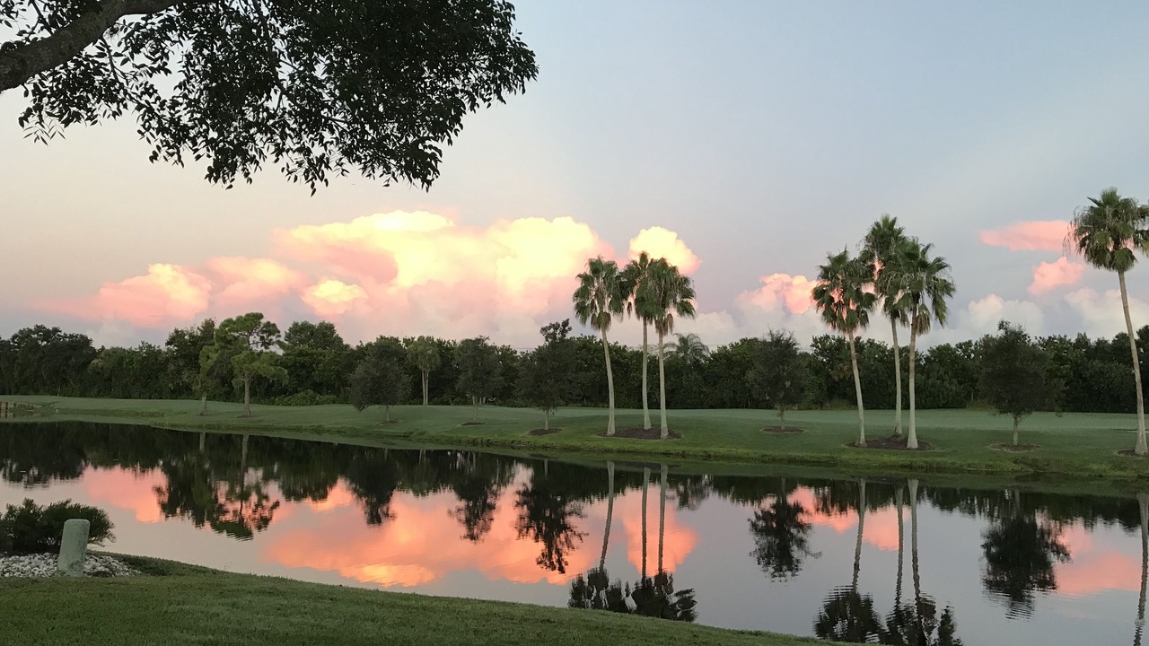 Photo of Outdoor in Sarasota