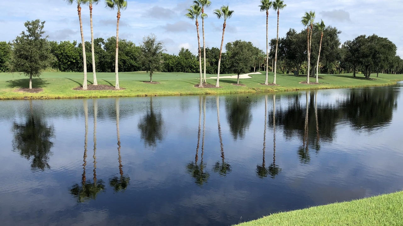 Photo of Outdoor in Sarasota