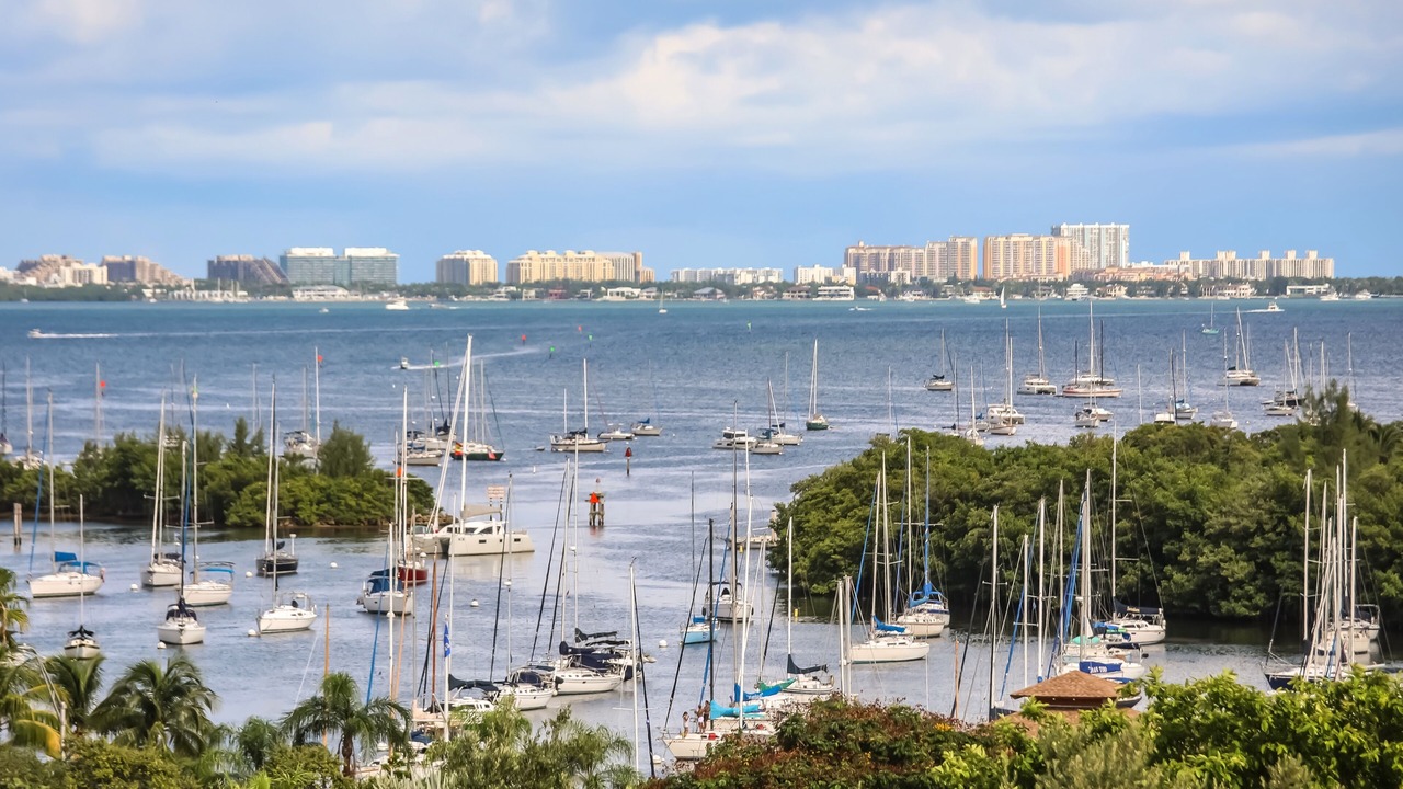 Photo of Others in Coconut Grove
