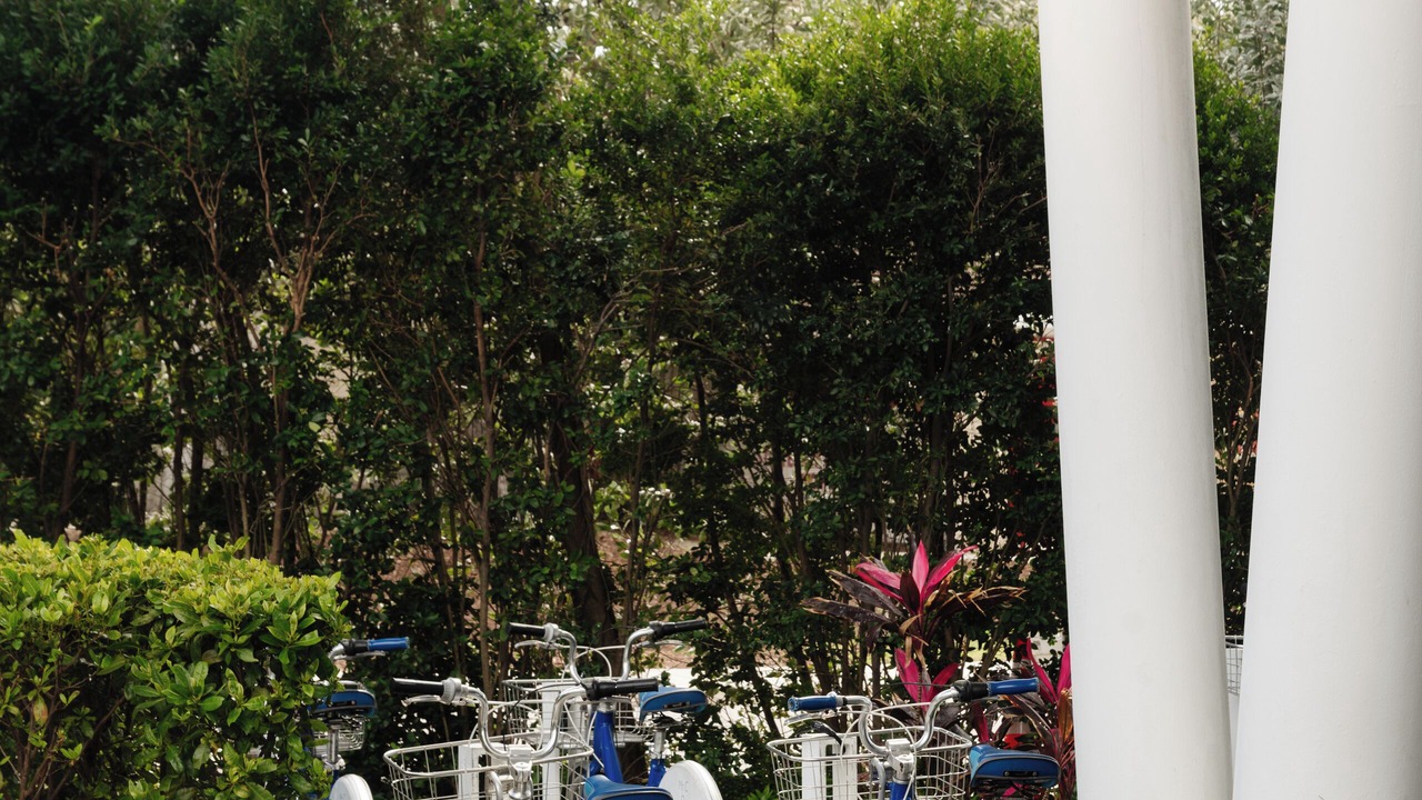 Photo of Outdoor in Coconut Grove