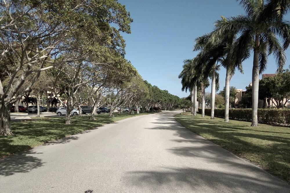 Photo of Others in Delray Beach