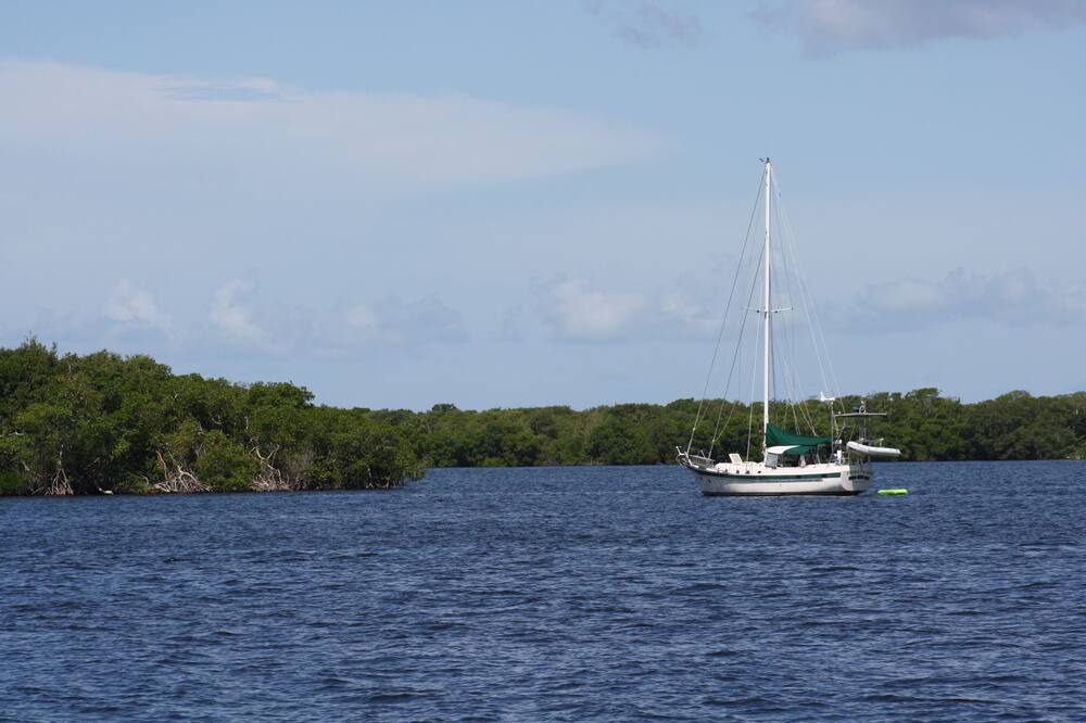 Photo of Outdoor in Ruskin