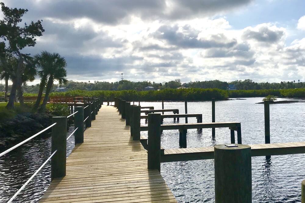 Photo of Outdoor in New Smyrna Beach