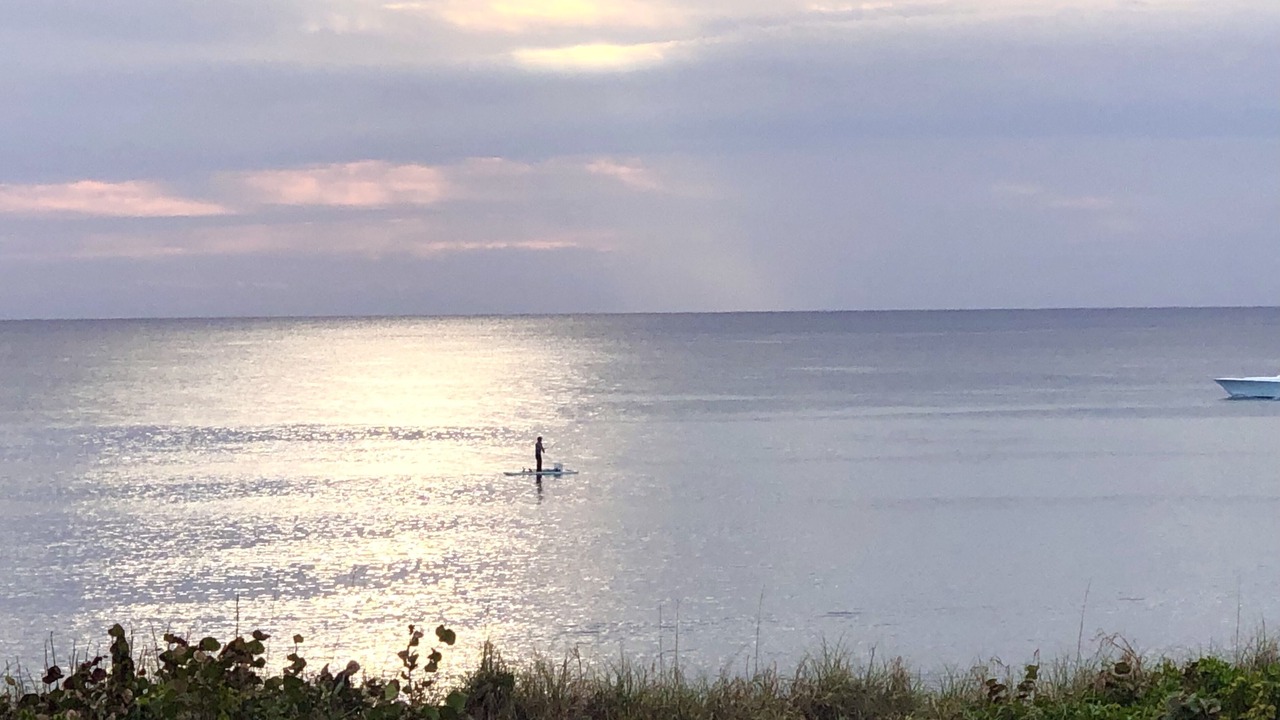 Photo of Others in Delray Beach