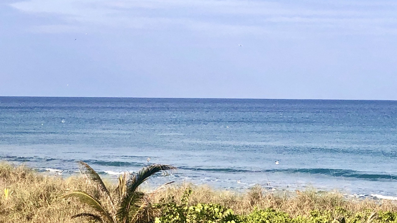 Photo of Others in Delray Beach