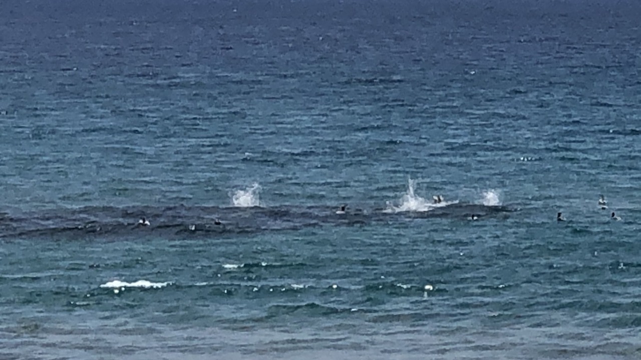Photo of Others in Delray Beach