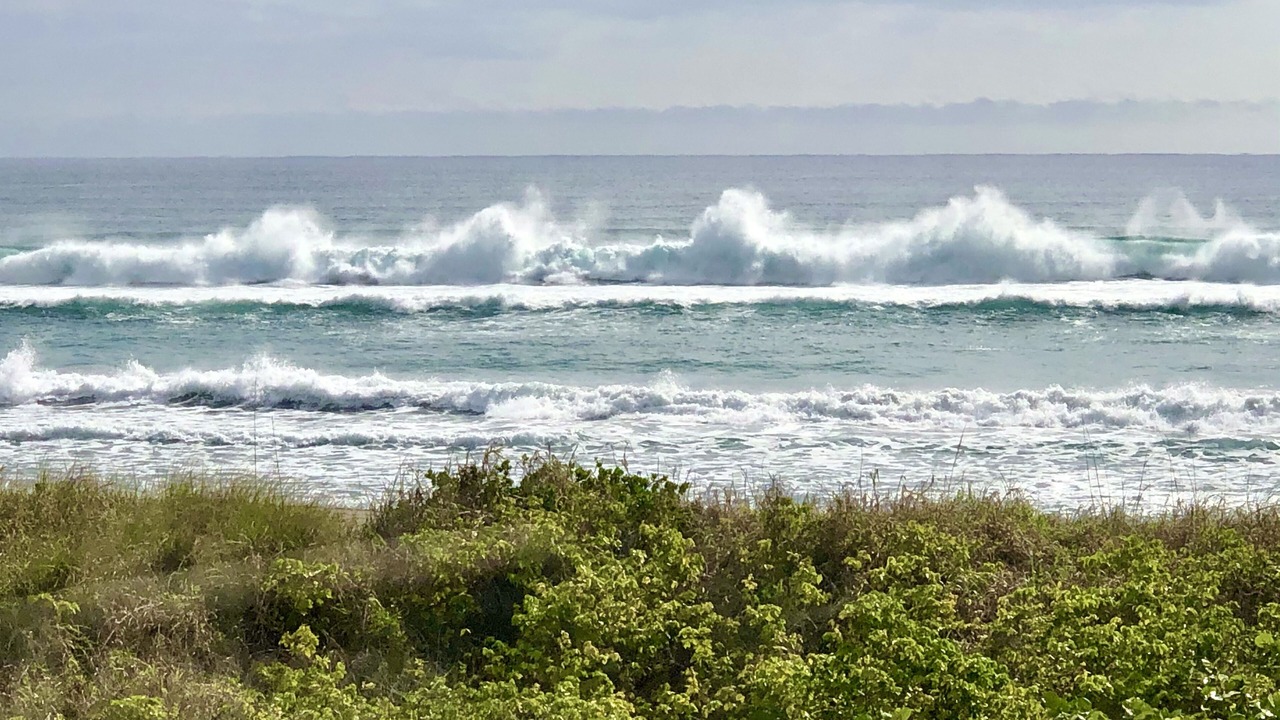 Photo of Others in Delray Beach