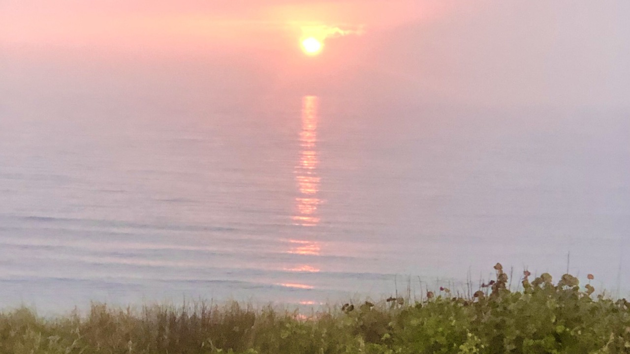 Photo of Others in Delray Beach
