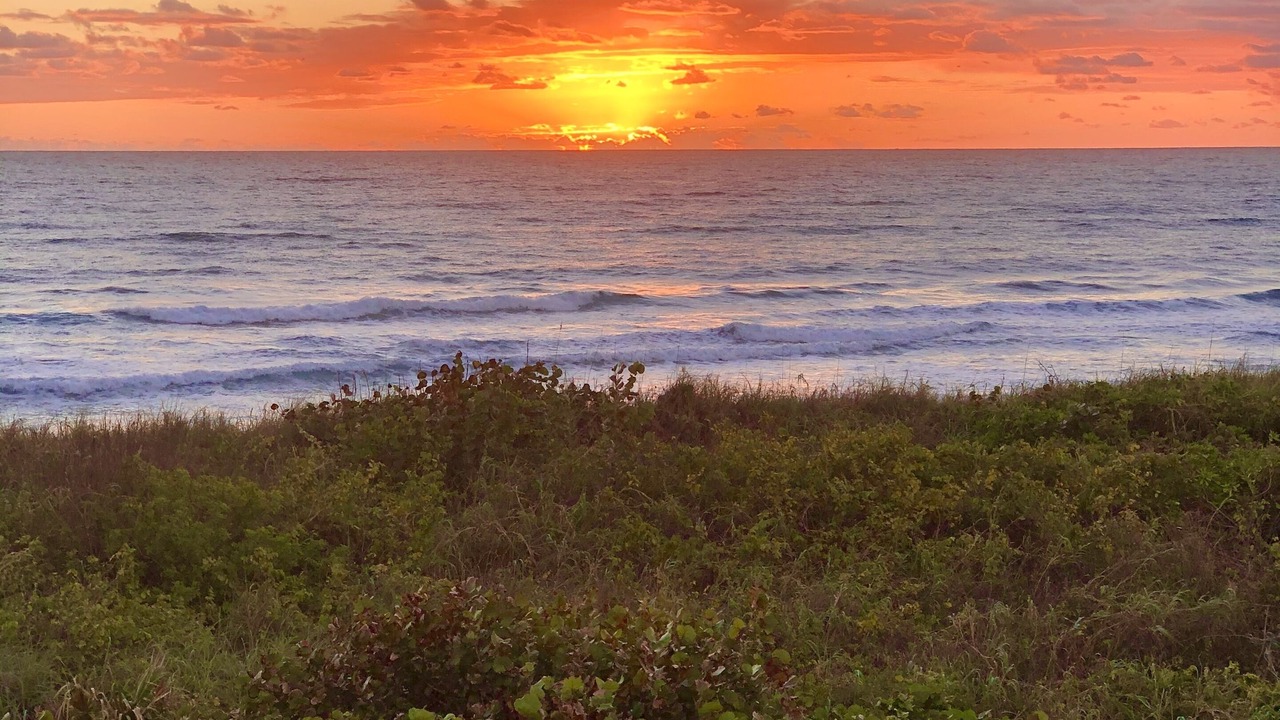 Photo of Others in Delray Beach