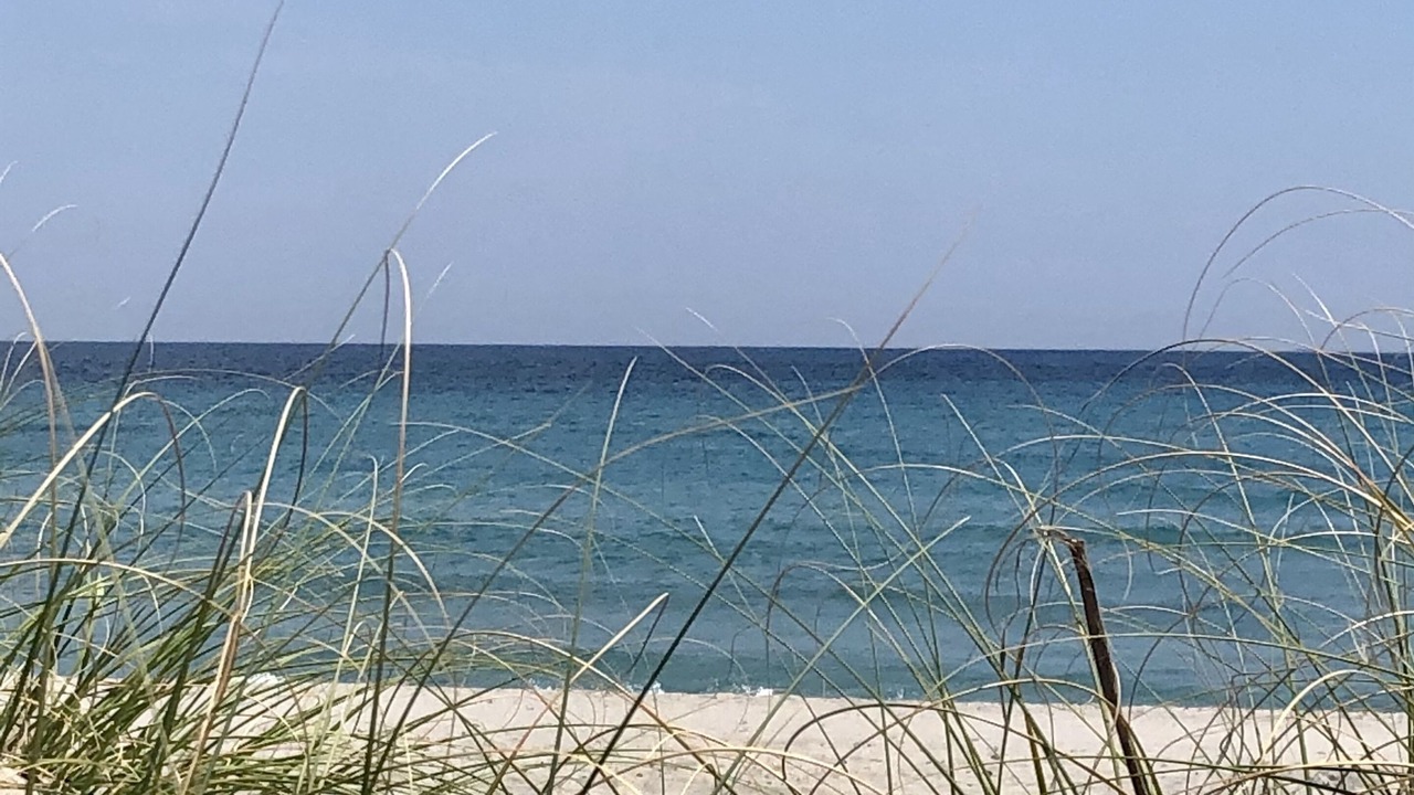 Photo of Others in Delray Beach