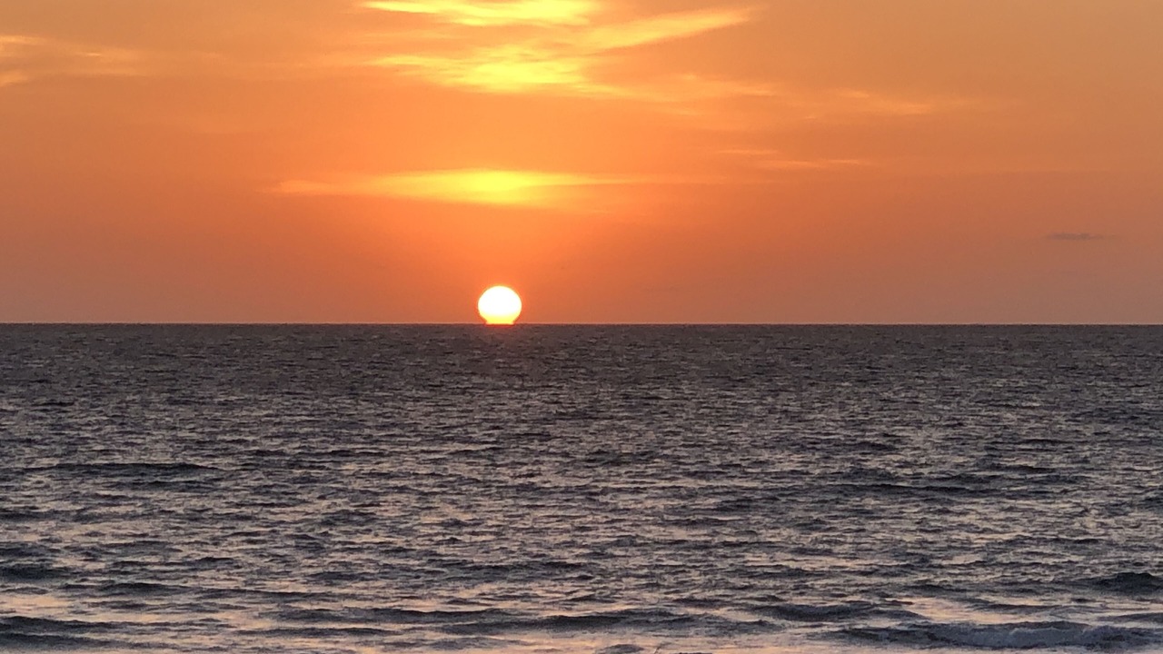 Photo of Others in Delray Beach